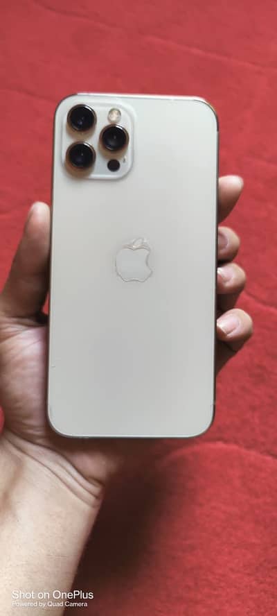 Apple iPhone 12 Pro Max