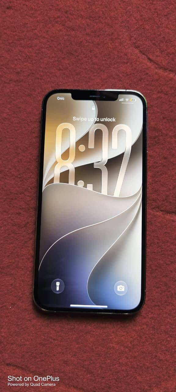 Apple iPhone 12 Pro Max 1