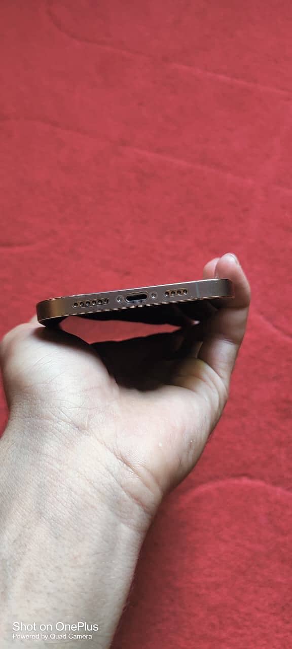 Apple iPhone 12 Pro Max 2