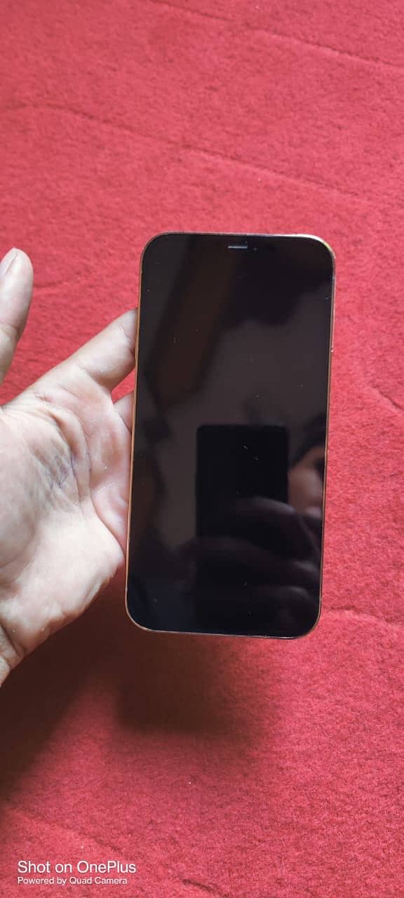 Apple iPhone 12 Pro Max 4