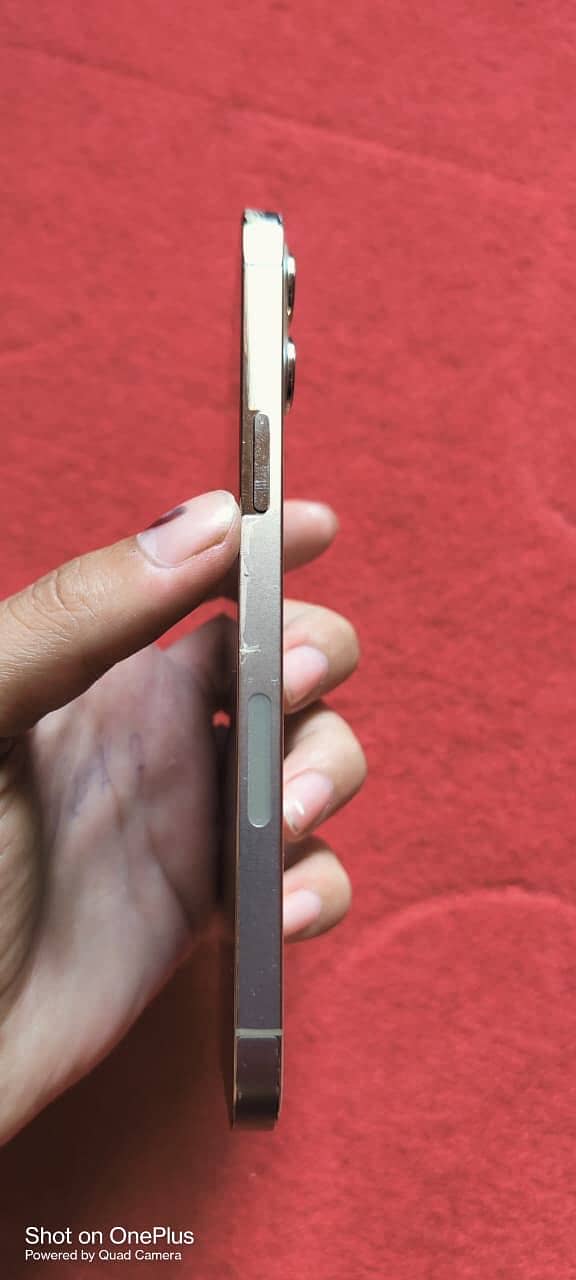 Apple iPhone 12 Pro Max 6