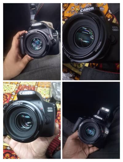 CANON Eos DSLR 1300D with youngnu 1.8 50mm lens