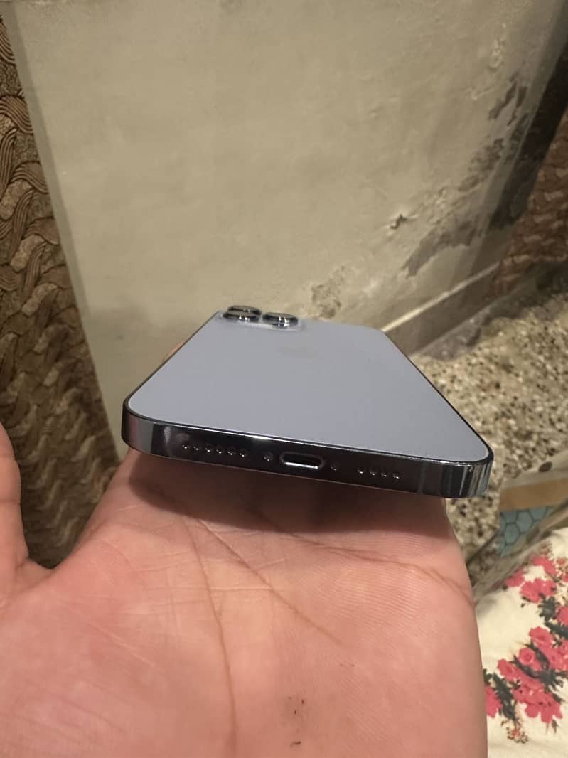Apple iPhone 13 Pro Max 1