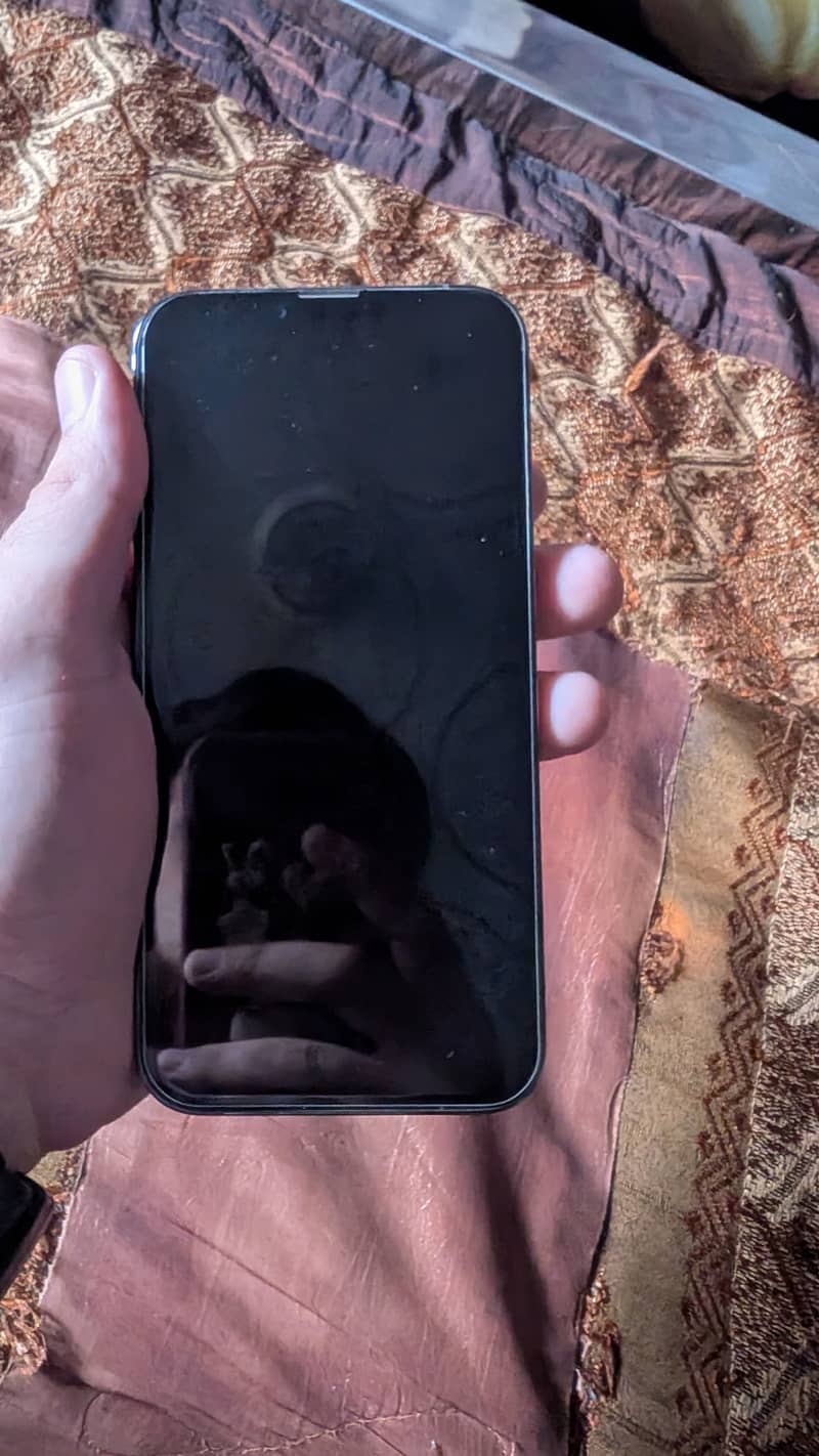 Apple iPhone 13 Pro Max 1