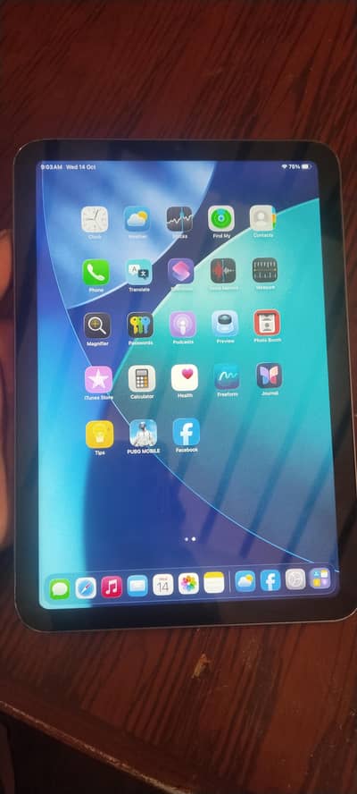 iPad mini 6
