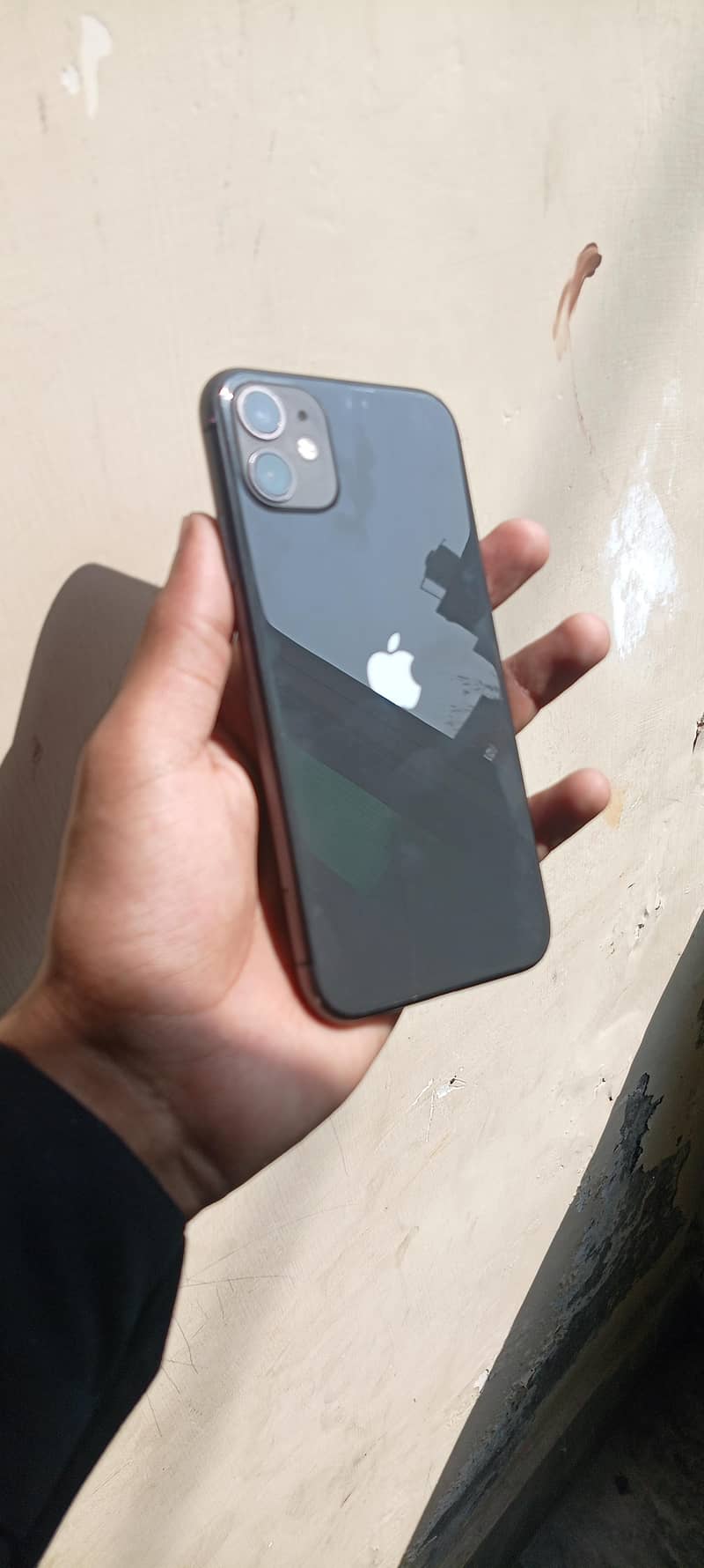 Apple iPhone 11 0