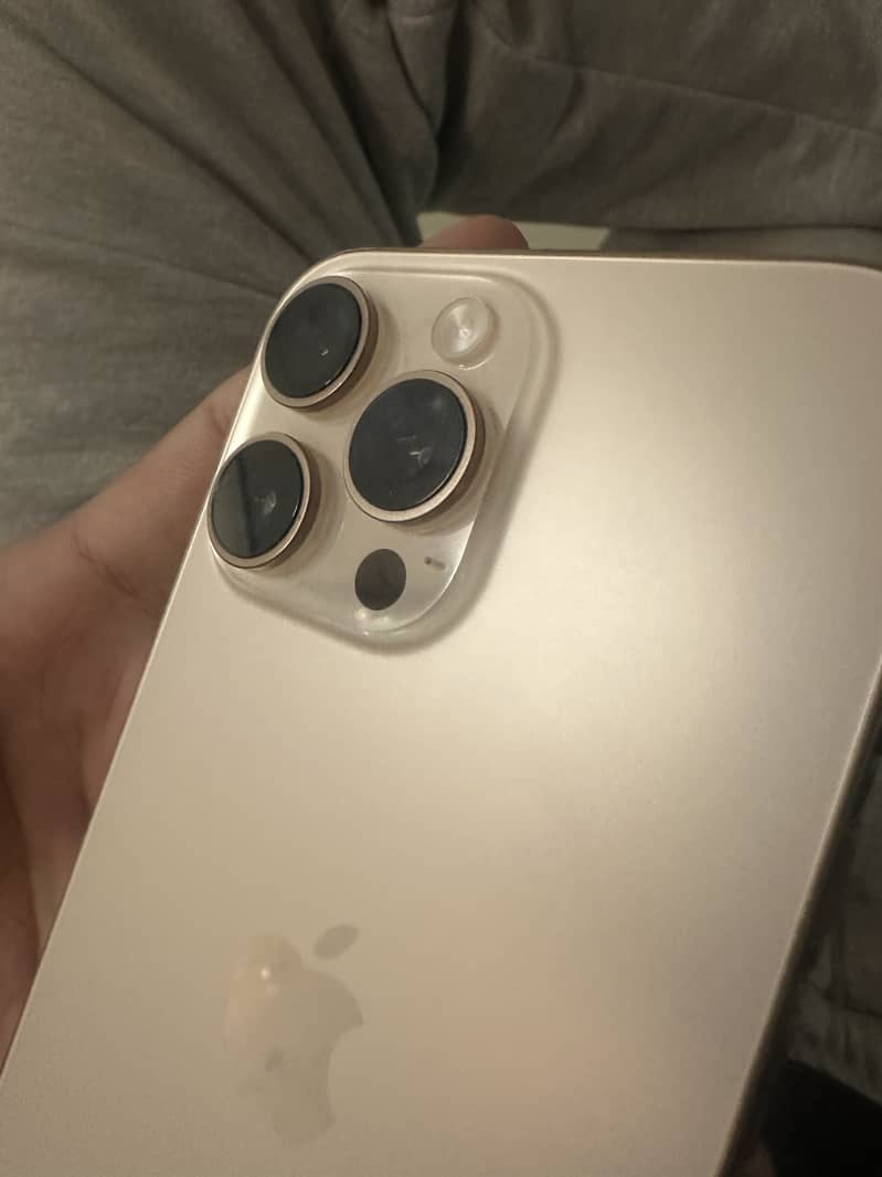 Apple iPhone 16 Pro Max 1