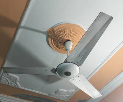 Fan celling for sale
