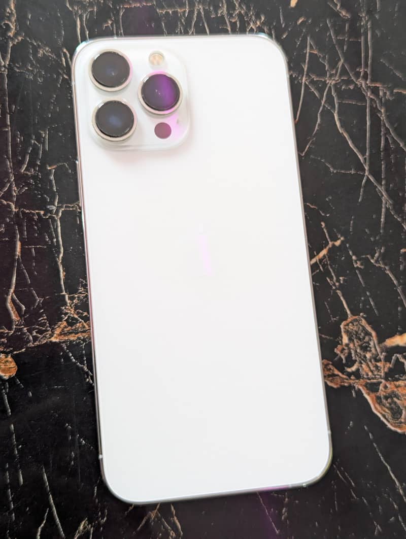 Apple iPhone 13 Pro Max 1