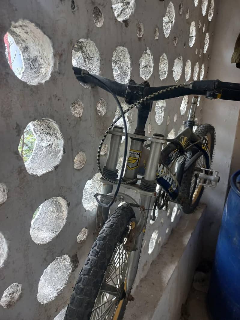 Smart Fun Bicycle simple 1