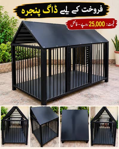 ڈاگ پنجرہ برائے فروخت | مضبوط لوہے کا پنجرہ | فائنل قیمت 25,000 روپے