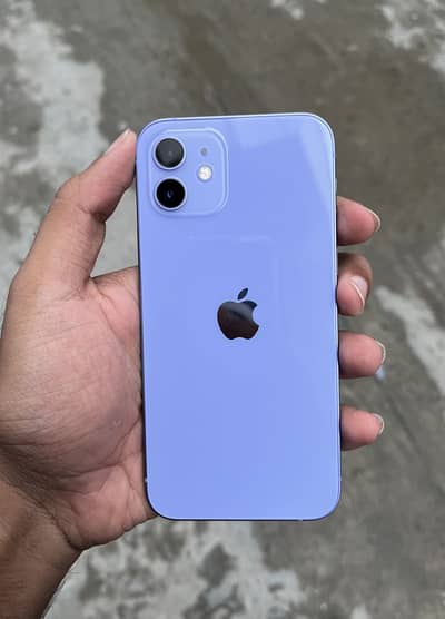 Apple iPhone 12 PTA Approved