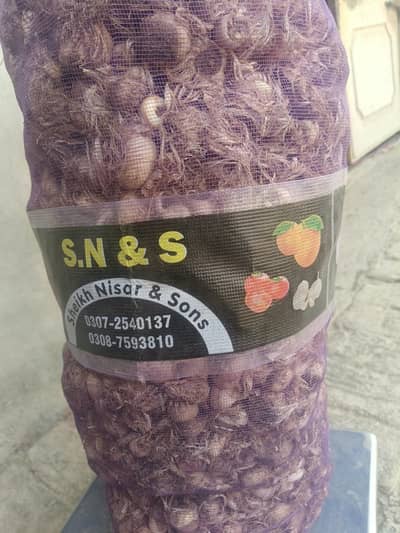 Irani Saffran available