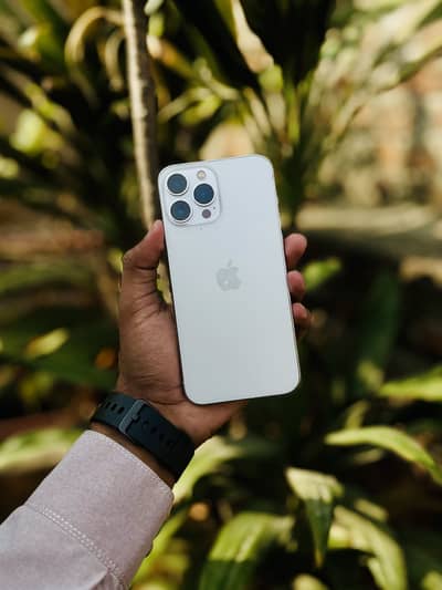 Apple iPhone 13 Pro Max