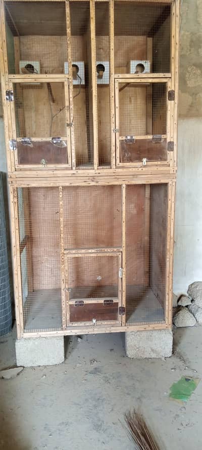 bird cage (cocktail, hens, parrots) etc