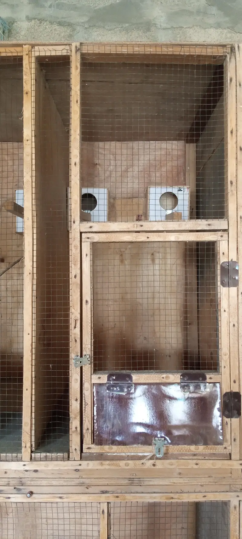 bird cage (cocktail, hens, parrots) etc — photo 2