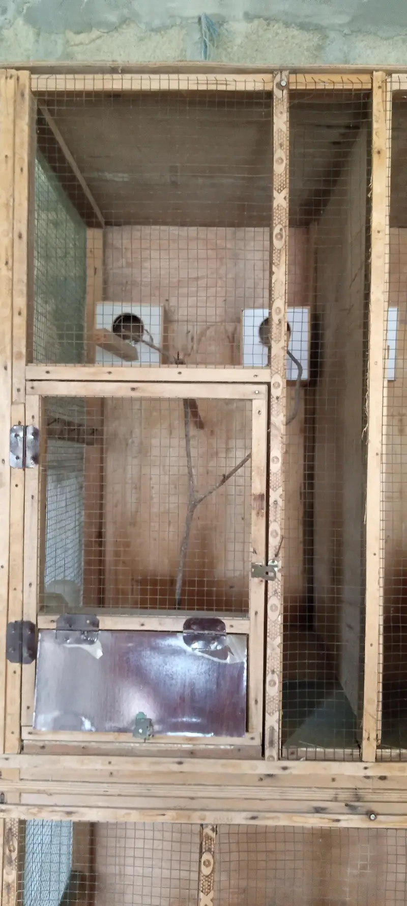 bird cage (cocktail, hens, parrots) etc — photo 3
