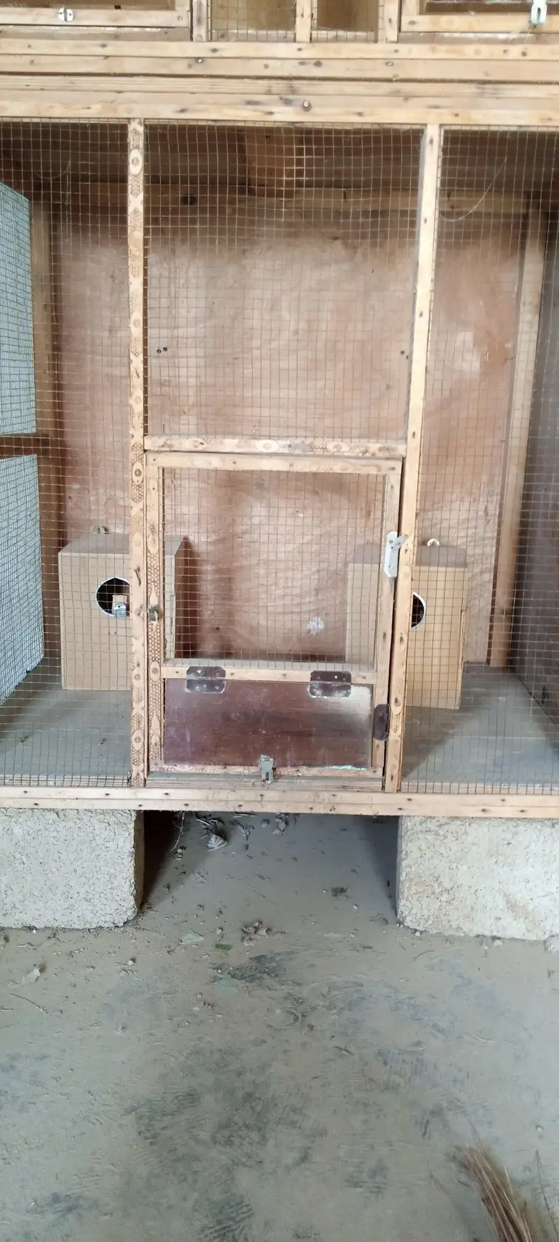 bird cage (cocktail, hens, parrots) etc — photo 4