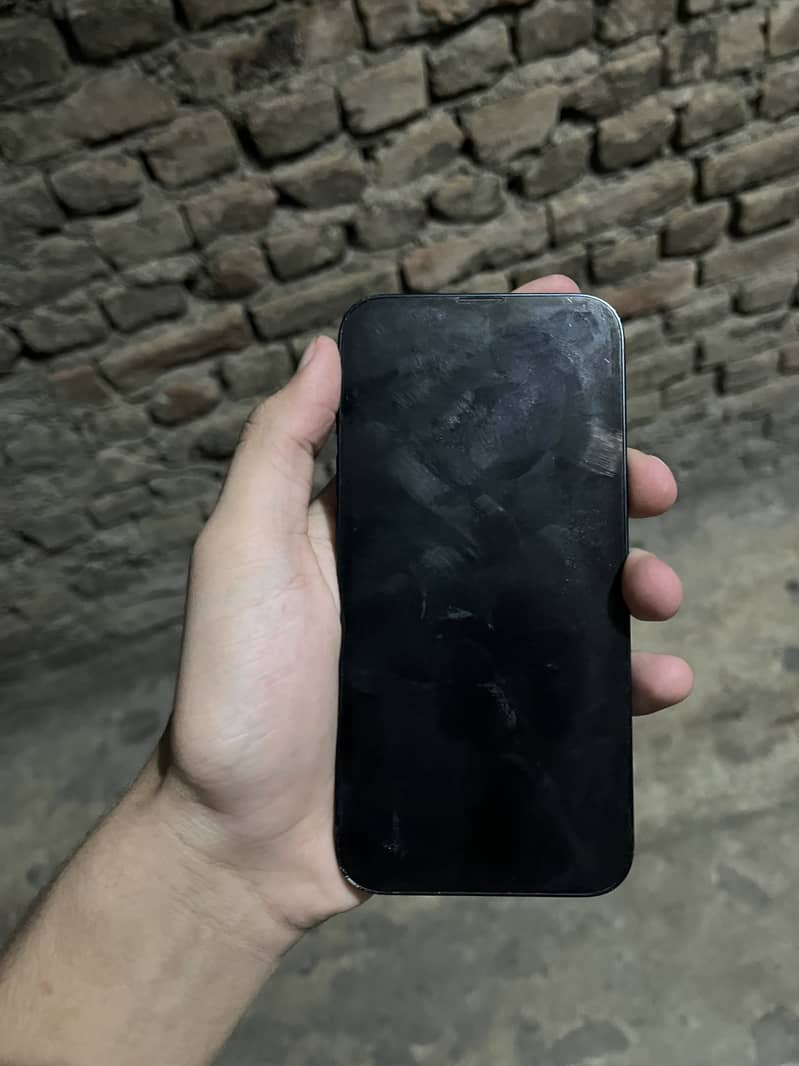 Apple iPhone 13 0