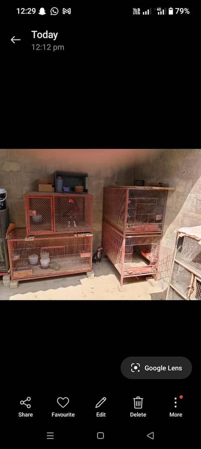 cage for sale 3