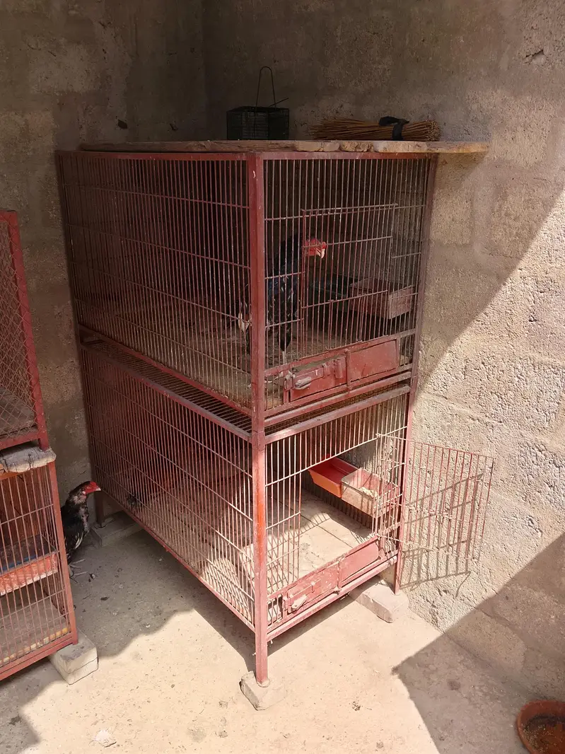 cage for sale 3 — photo 3