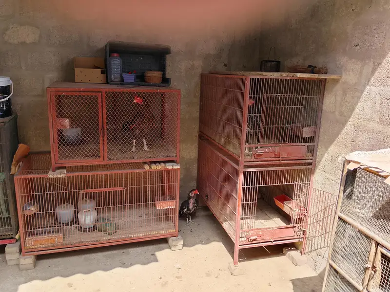 cage for sale 3 — photo 4