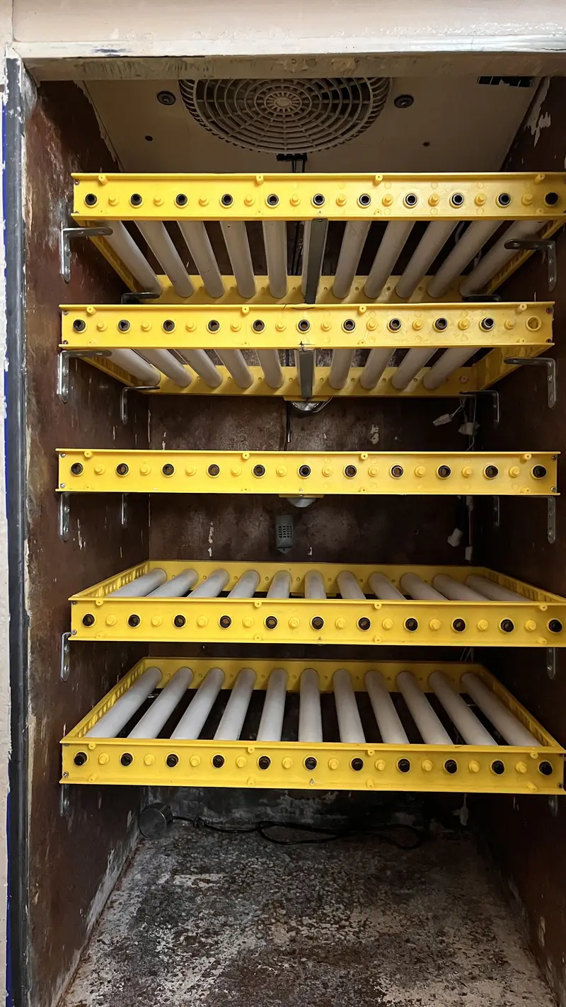 Fully Automated Professional Incubator — photo 3