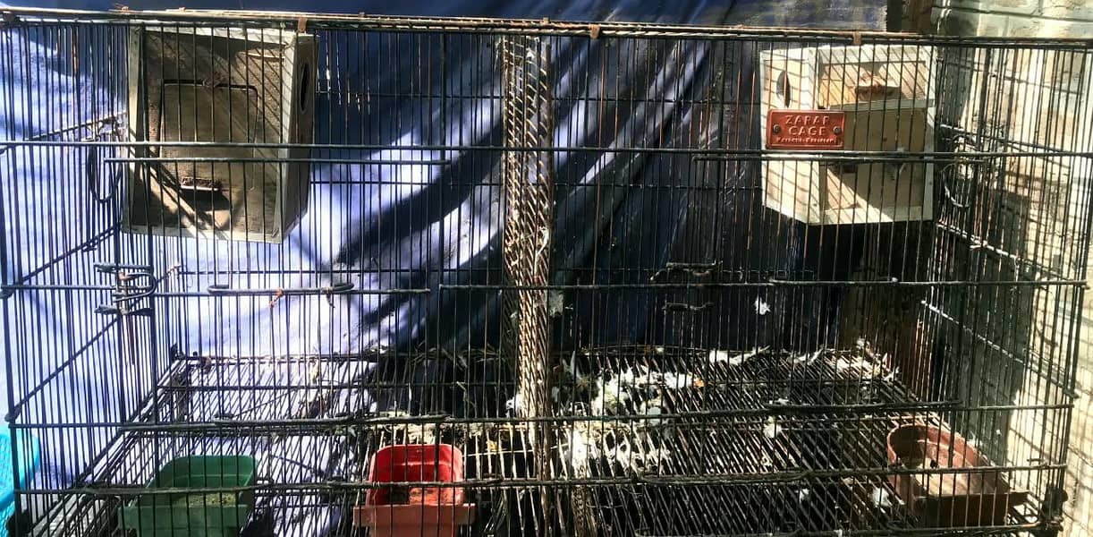 Cage do khano ka 1
