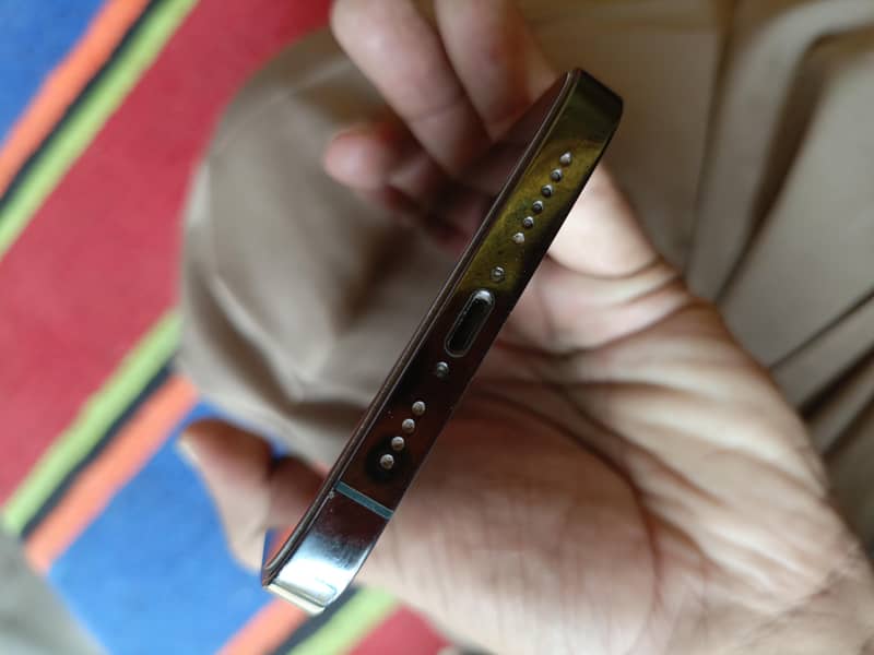 Apple iPhone 13 Pro Max 1