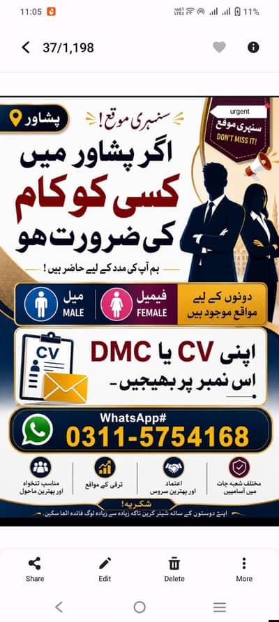 office work male and female required