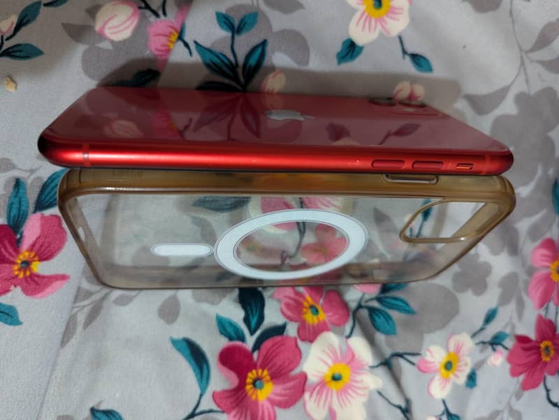 Apple iPhone 11 2