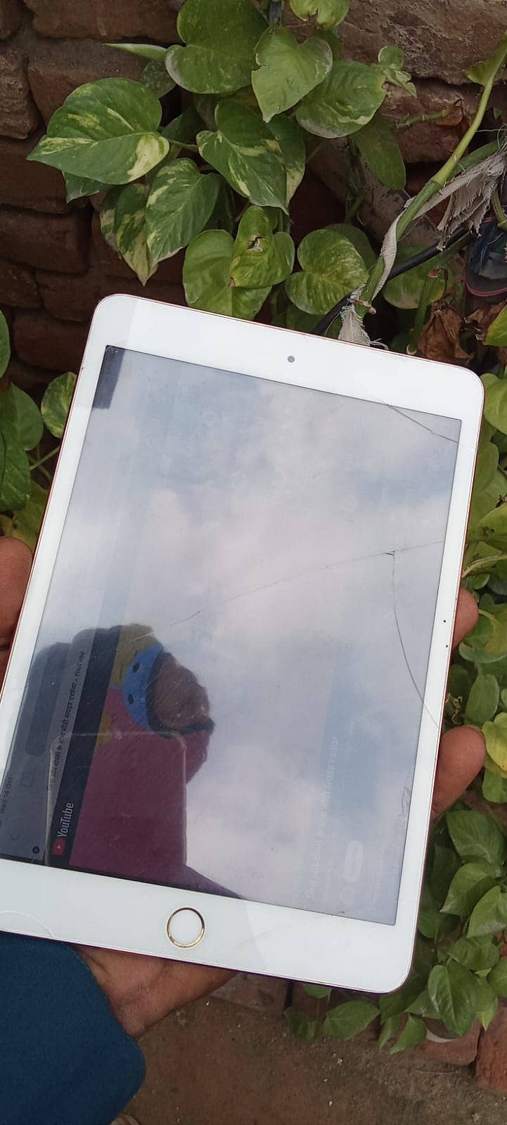 Mini 3 6