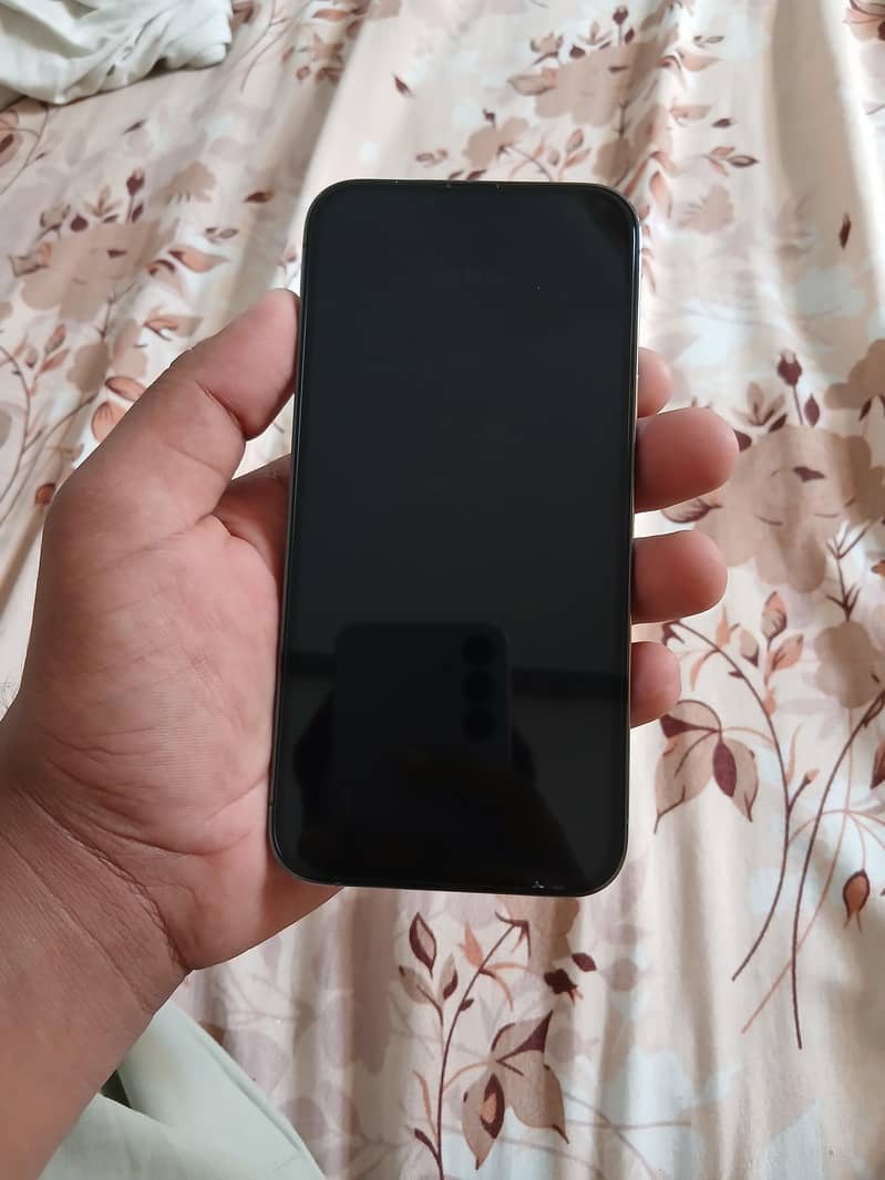 Apple iPhone 13 Pro Max 2