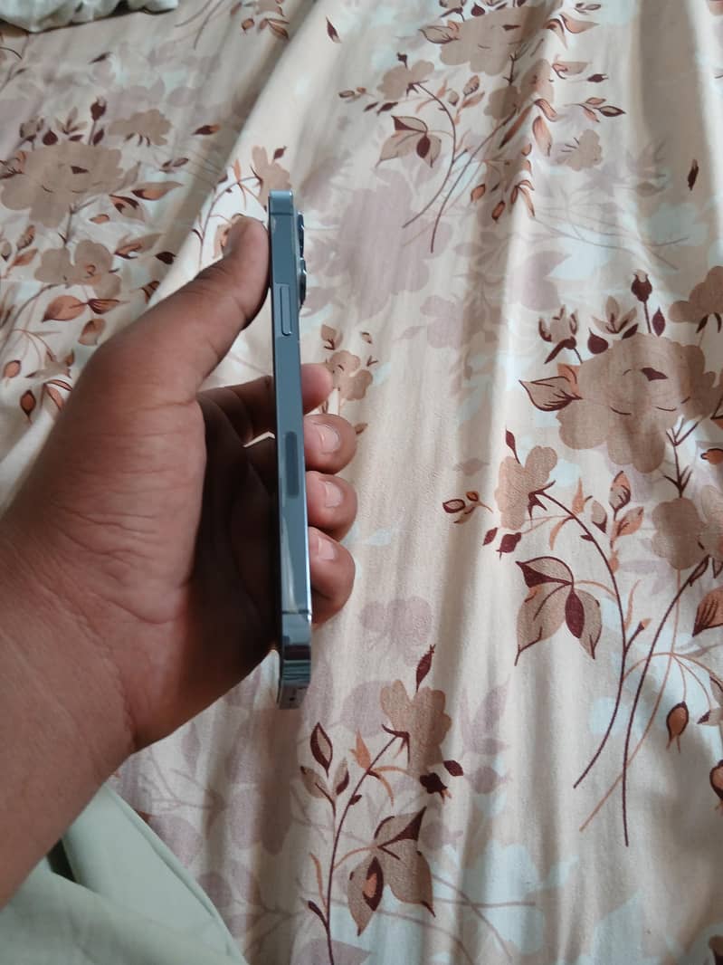 Apple iPhone 13 Pro Max 6