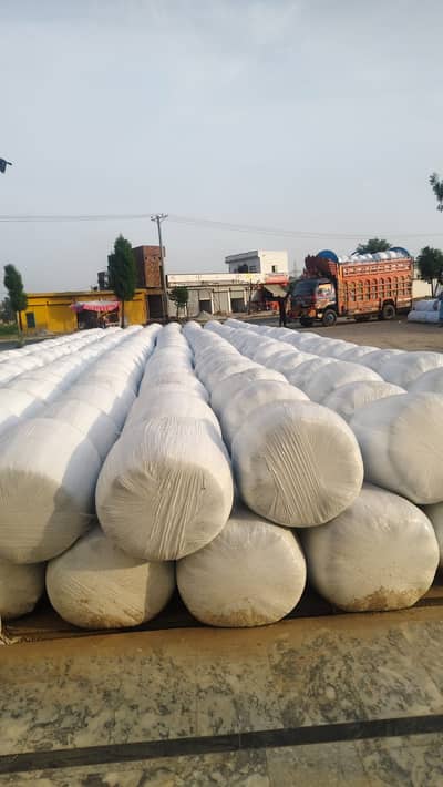 Silage/Corn Silage/Maki Silage/Animal Feeds چوہدری سائیلج