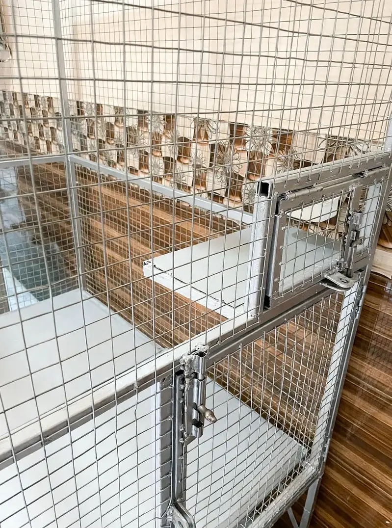 Heavy Duty Iron Cage with Wheels & Tray System – Brand New Condition — photo 3