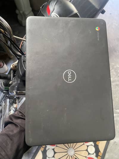Dell 3100