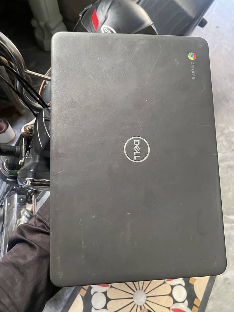 Dell 3100 0