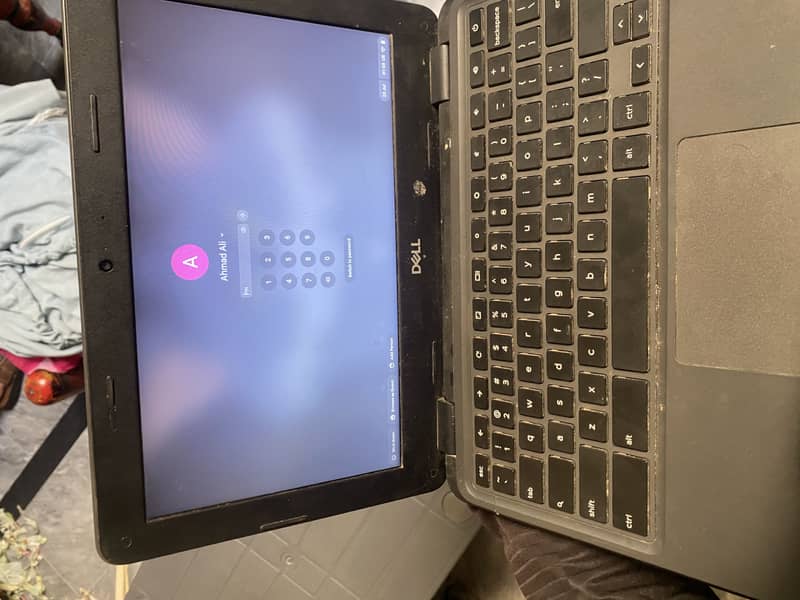Dell 3100 4