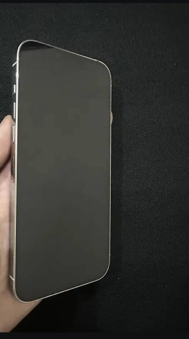 Apple iPhone 13 Pro Max 1