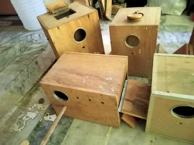 Love Birds Breeding Boxes kikar wood New condition