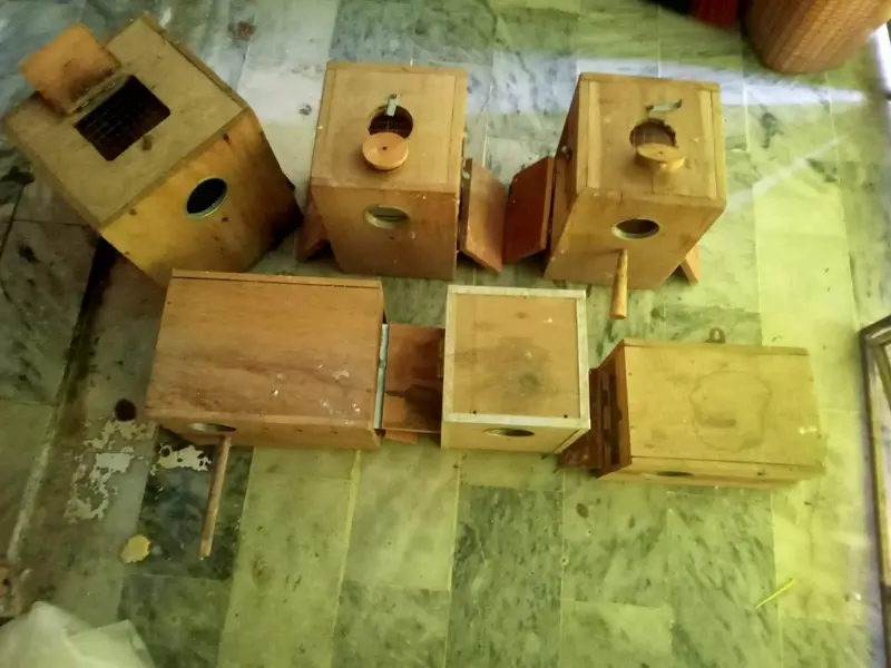 Love Birds Breeding Boxes kikar wood New condition — photo 2