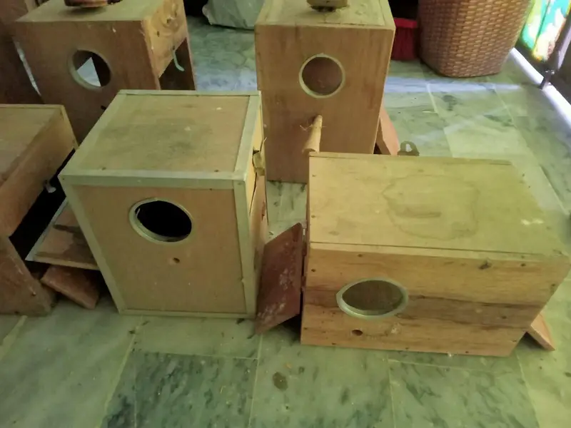 Love Birds Breeding Boxes kikar wood New condition — photo 4