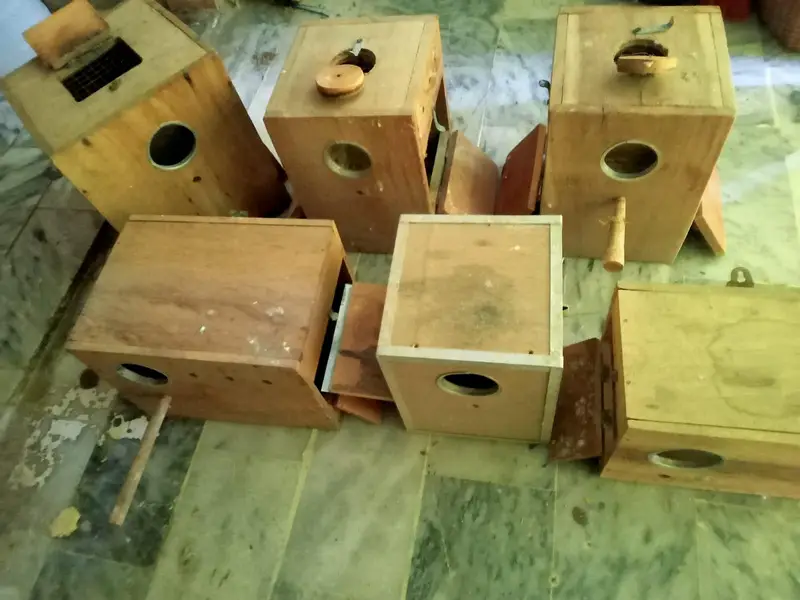 Love Birds Breeding Boxes kikar wood New condition — photo 5