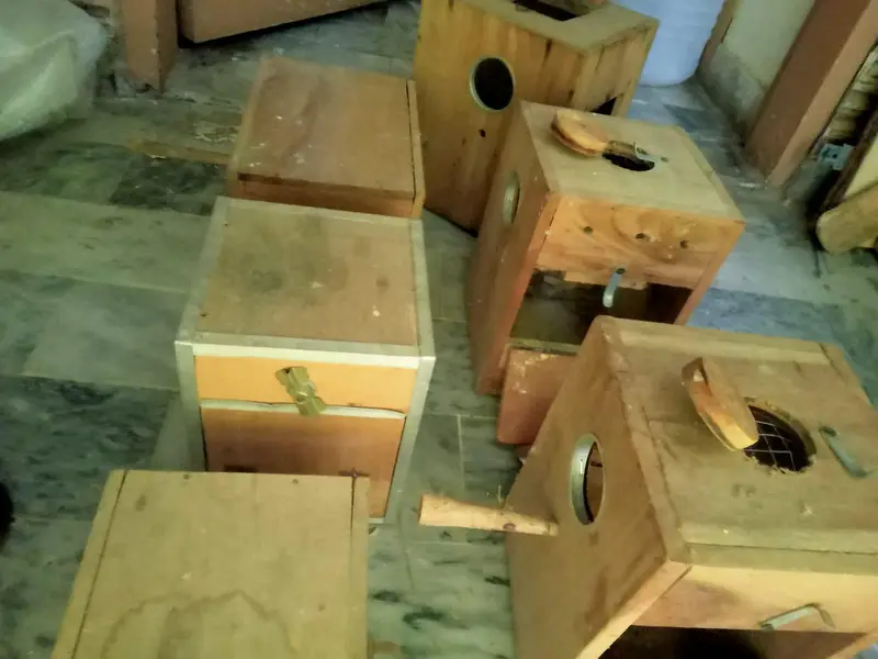 Love Birds Breeding Boxes kikar wood New condition — photo 6