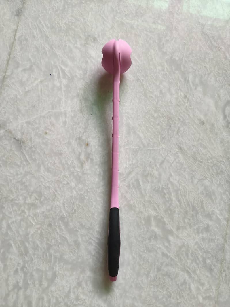 Sidearm ball thrower 3