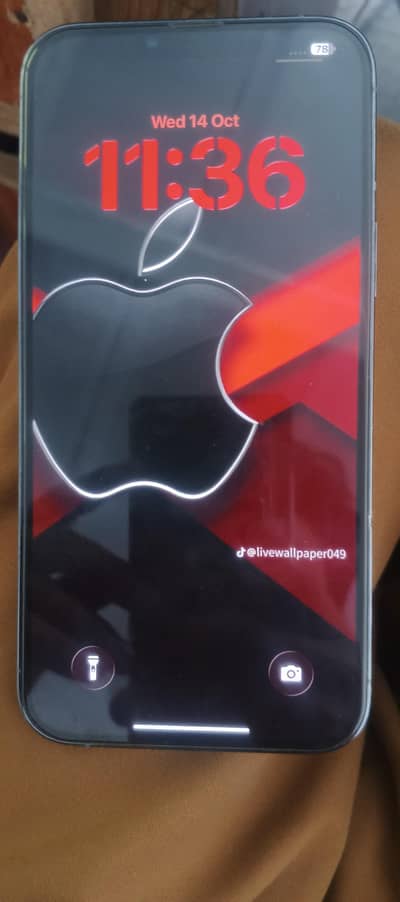 Apple iPhone 13 Pro Max