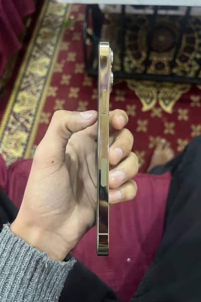 Apple iPhone 13 Pro Max jv