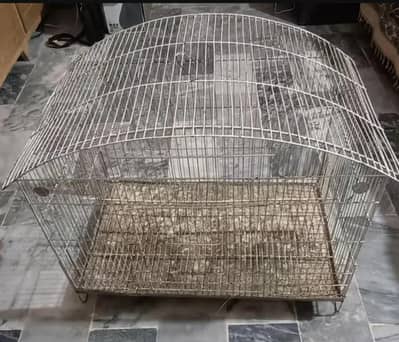 Birds iron cage A condition