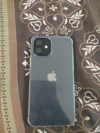 iPhone 12
